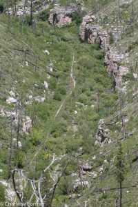 Hell Canyon trail seen from the cliff face, where I started from!