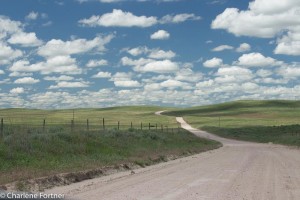 Road to Crescent Lake NWR