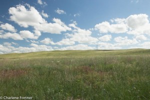 Crescent Lake NWR