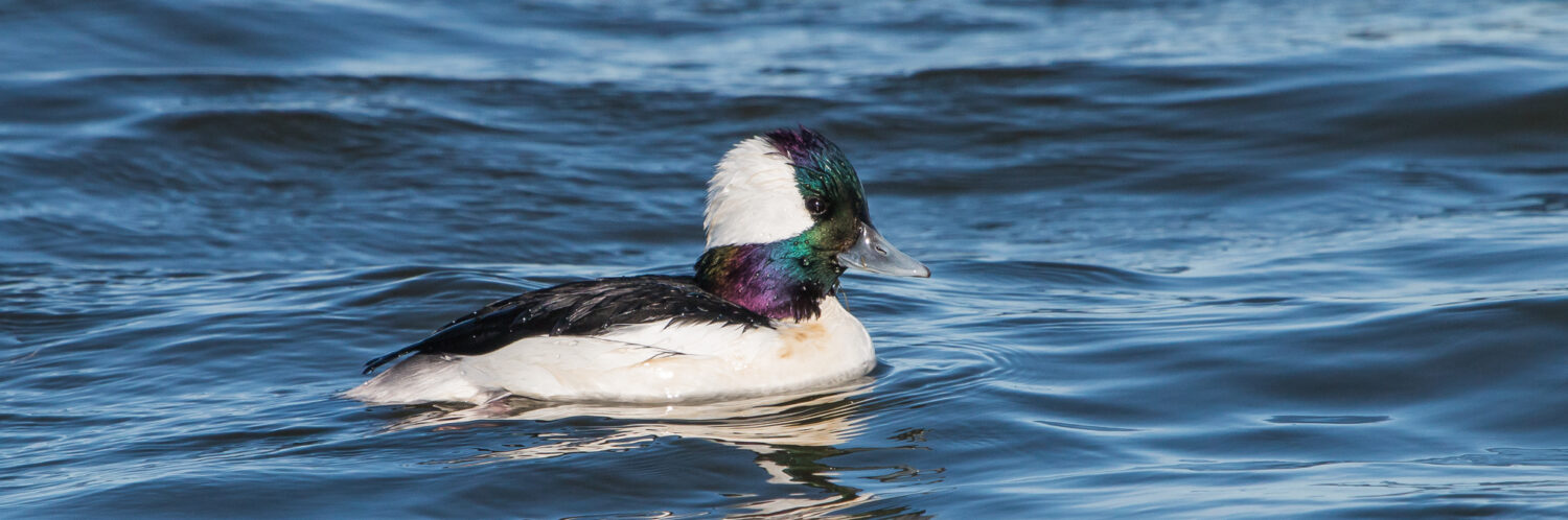 If You're Ever In...