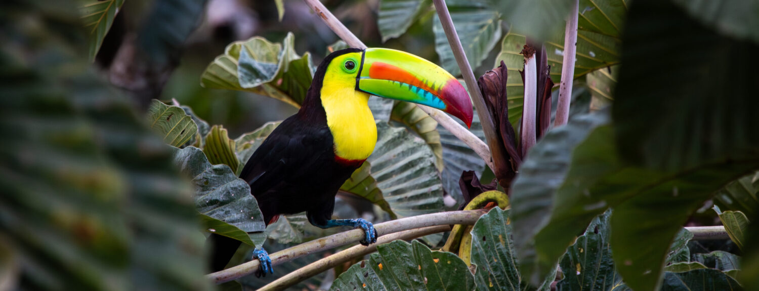 If You're Ever In...